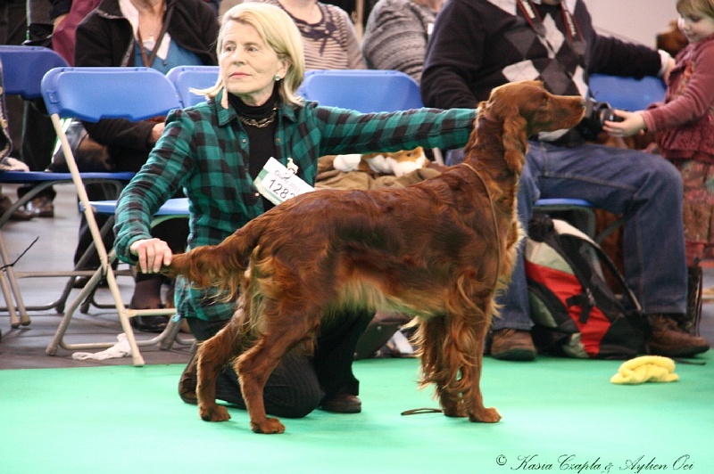 Crufts2011 243.jpg